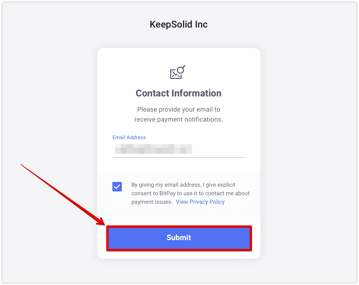 8. Enter your email address to receive notifications about your payment and click Submit.