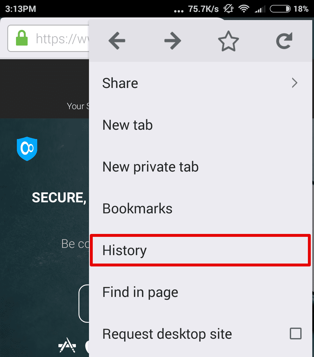 How do cookies affect the VPN? - In FireFox for Android - Tap the button and select History