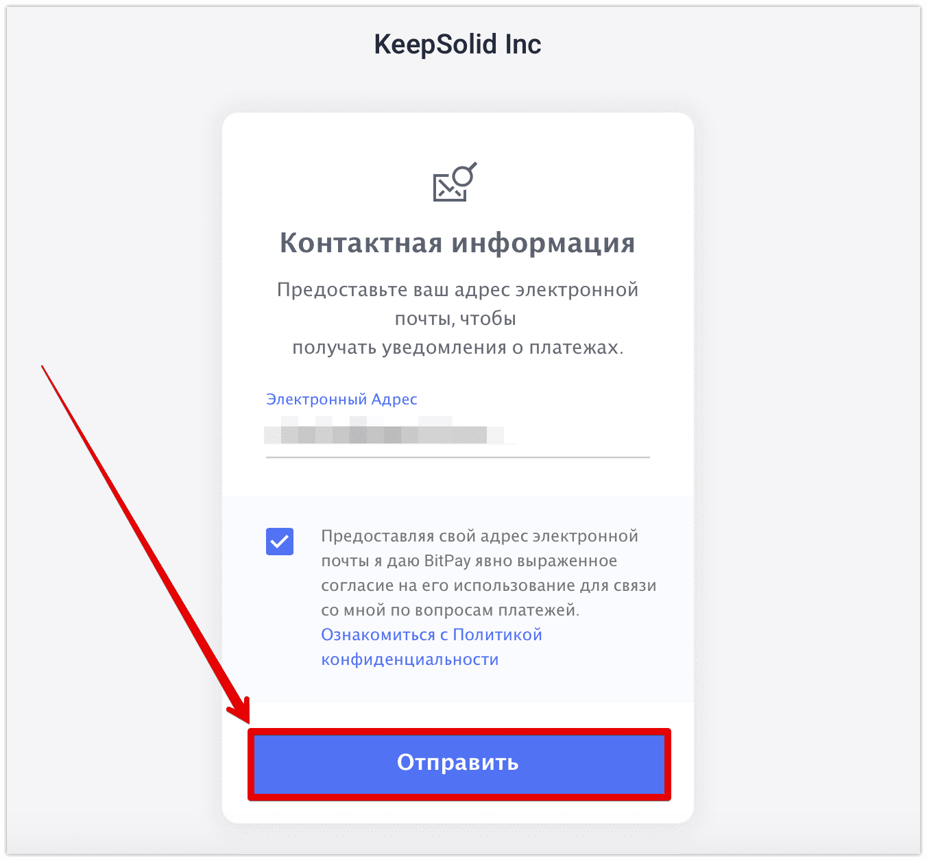8. Введите адрес электронной почты, чтобы получать уведомления о вашем платеже, и нажмите Отправить.